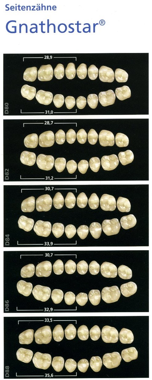 Размери Гнатостар