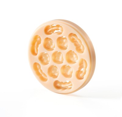 PMMA Telio CAD LT 98.5-16mm/1