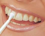 Vivastyle Paint On Plus