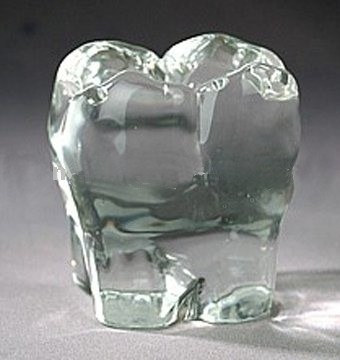 Стъклено украшения - зъб за кабинета 