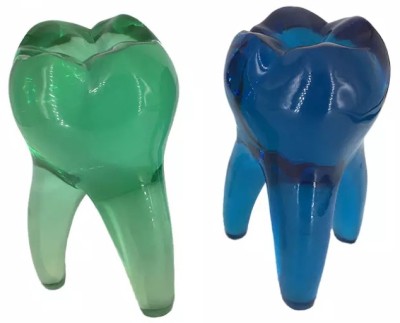 Украшения за кабинета  - зъб с корени 